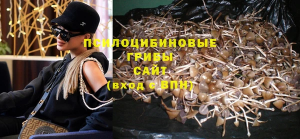 mdpv Верея