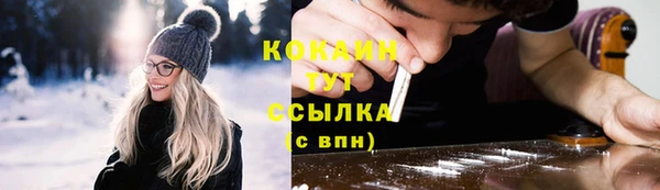 индика Волоколамск