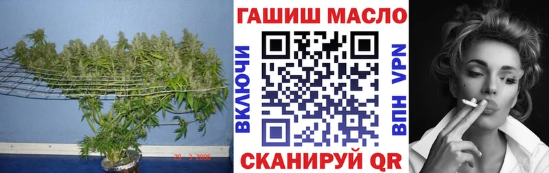 ТГК Wax  Купить где  Льгов 